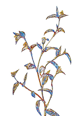 Stained Glass Botanical