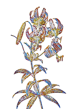 Stained Glass Lily Flower