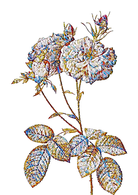 Stained Glass Rose Flower