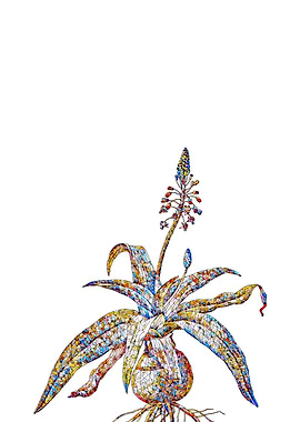 Stained Glass Botanical