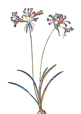 Rainbow Mosaic Flower