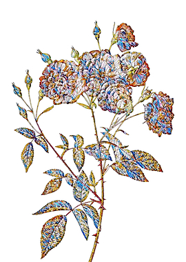 Stained Glass Rose Flower