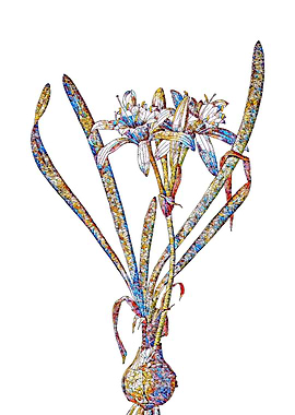 Stained Glass Daffodil