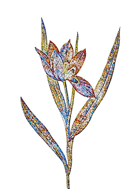 Stained Glass Tulip Flower