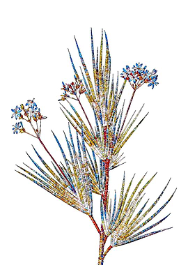 Stained Glass Botanical