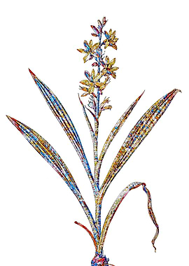 Prismatic Mosaic Floral