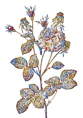 Stained Glass Rose Flower