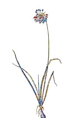 Rainbow Mosaic Flower