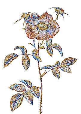 Stained Glass Rose Flower