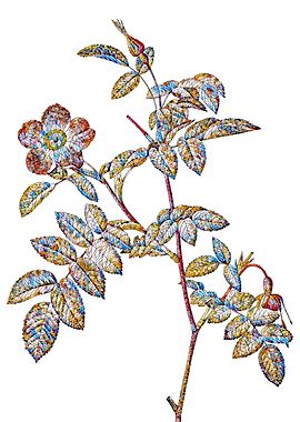 Stained Glass Rose Flower