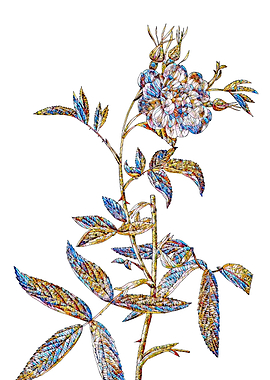 Stained Glass Rose Flower