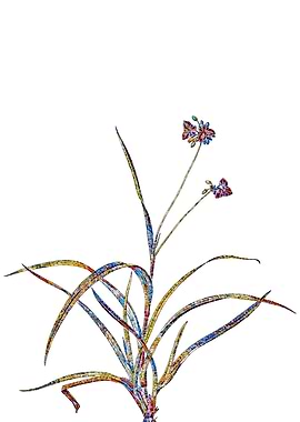 Prismatic Mosaic Floral