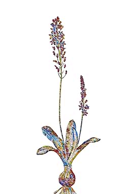 Rainbow Mosaic Flower