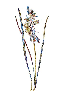 Stained Glass Botanical