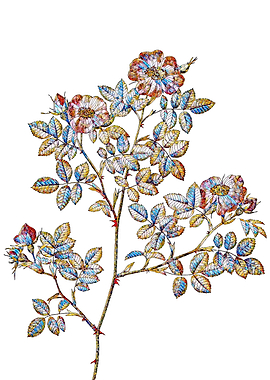 Stained Glass Rose Flower