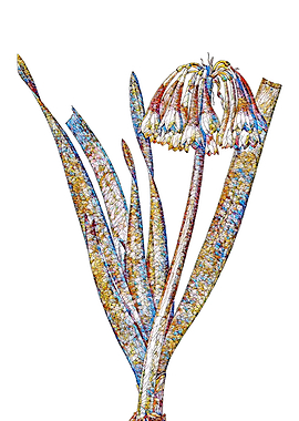 Stained Glass Lily Flower