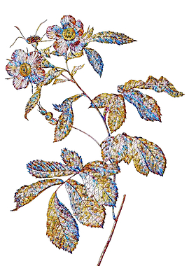 Stained Glass Rose Flower