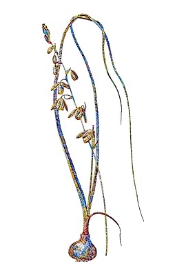 Stained Glass Botanical