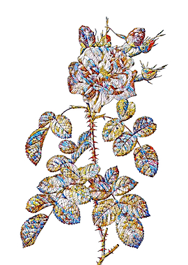 Stained Glass Rose Flower