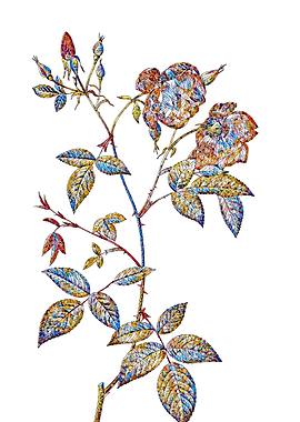 Stained Glass Rose Flower