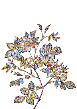 Stained Glass Rose Flower