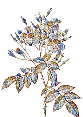 Stained Glass Rose Flower