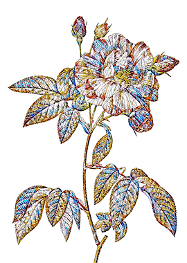 Stained Glass Rose Flower