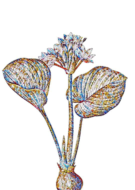 Stained Glass Lily Flower