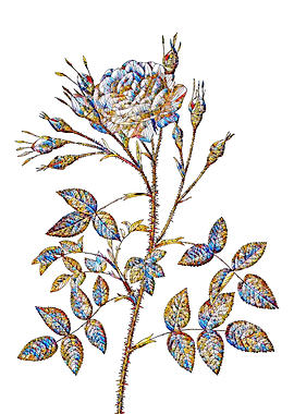 Stained Glass Rose Flower