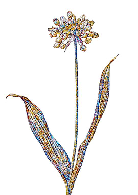 Stained Glass Amaryllis