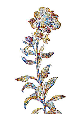 Prismatic Mosaic Floral