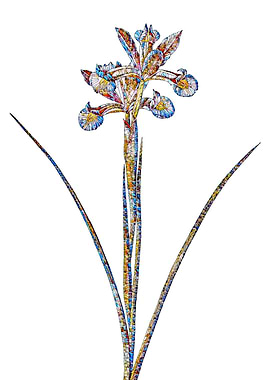 Stained Glass Iris Flower