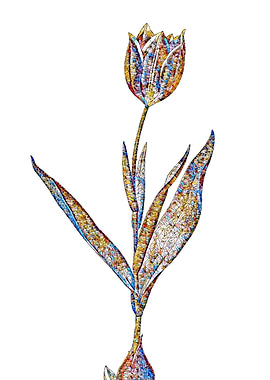 Stained Glass Tulip Flower