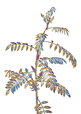 Stained Glass Botanical