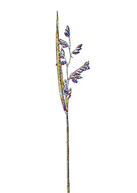 Rainbow Mosaic Flower