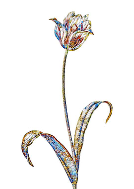 Stained Glass Tulip Flower