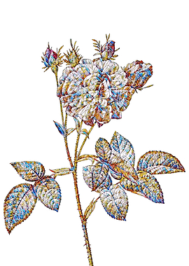 Stained Glass Rose Flower