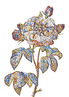 Stained Glass Rose Flower