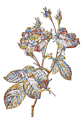 Stained Glass Rose Flower