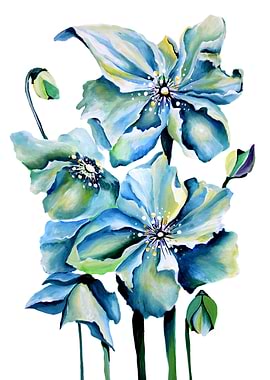 Himalayan Blue Poppy