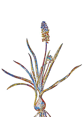 Stained Glass Botanical