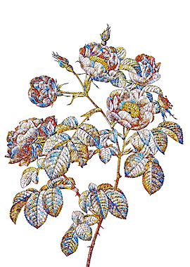 Stained Glass Rose Flower