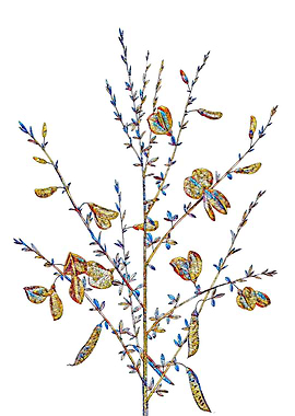 Prismatic Mosaic Floral