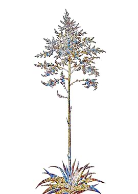 Stained Glass Botanical