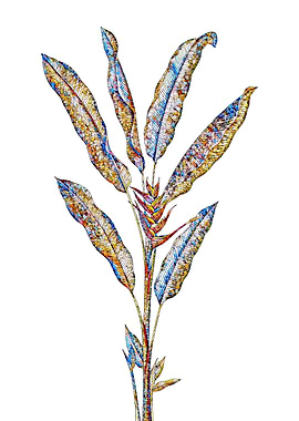 Rainbow Mosaic Flower