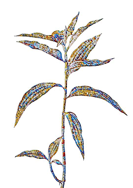 Stained Glass Botanical