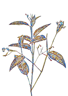 Stained Glass Botanical