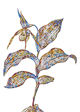 Prismatic Mosaic Floral