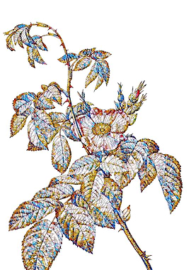 Stained Glass Rose Flower