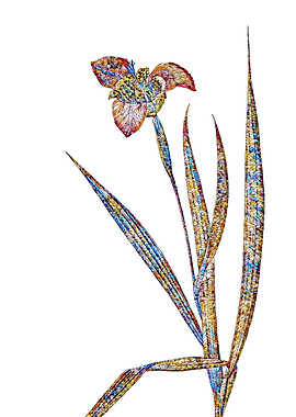 Prismatic Mosaic Floral